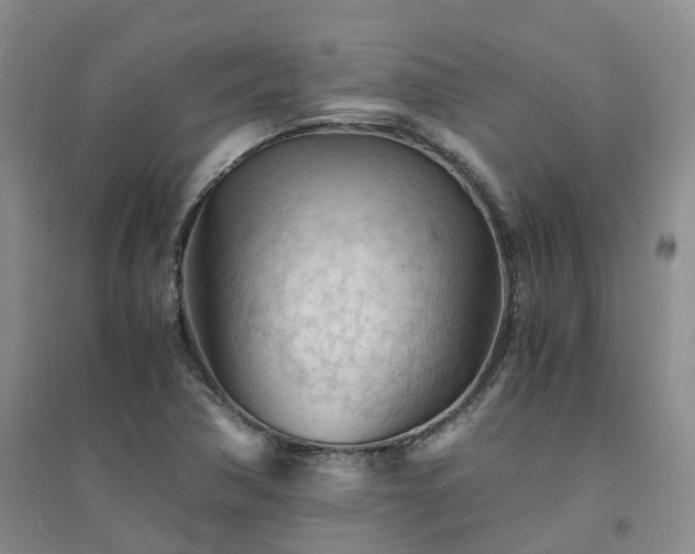 X0000094451362200711151418