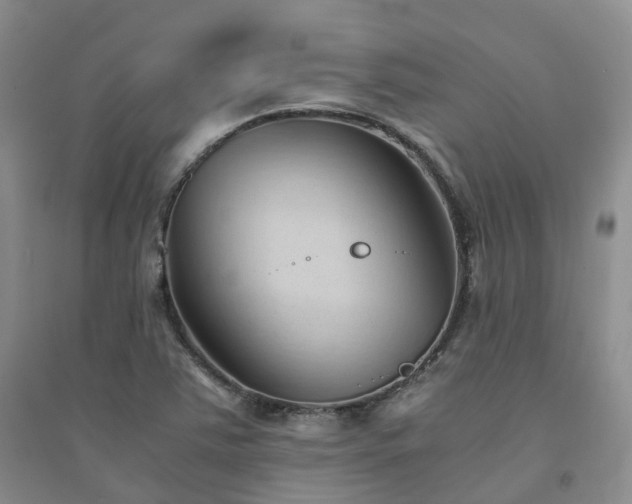 X0000094451363200711151418