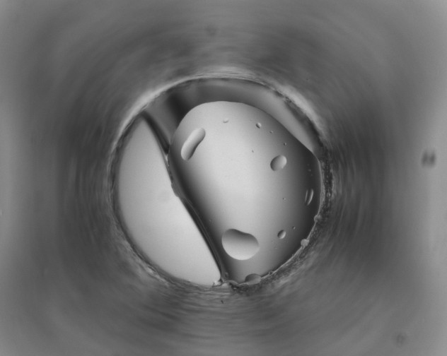 X0000094451364200711151418