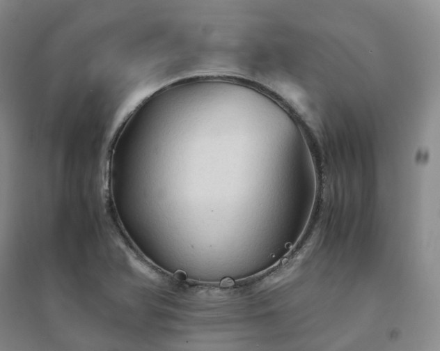 X0000094451366200711151418