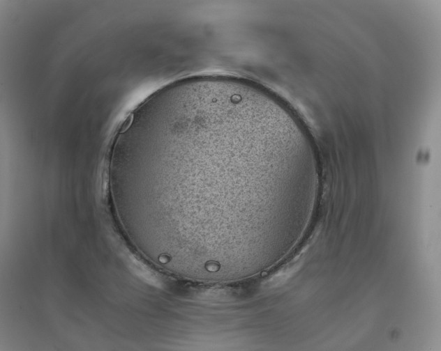 X0000094451367200711151418