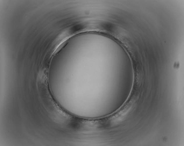 X0000094451369200711151418