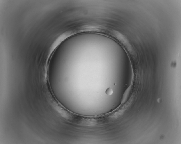 X0000094451370200711151418