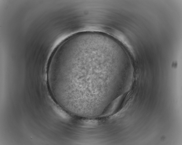X0000094451372200711151418
