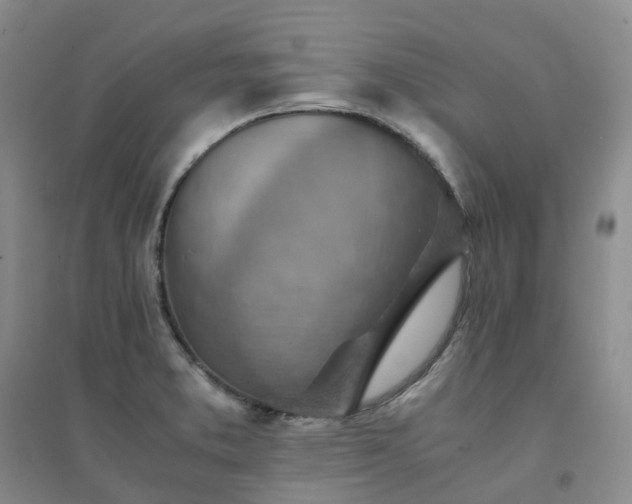 X0000094451373200711151418
