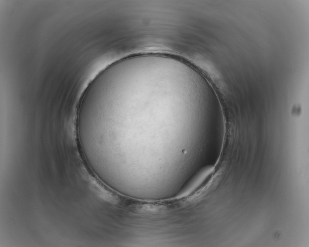 X0000094451374200711151418