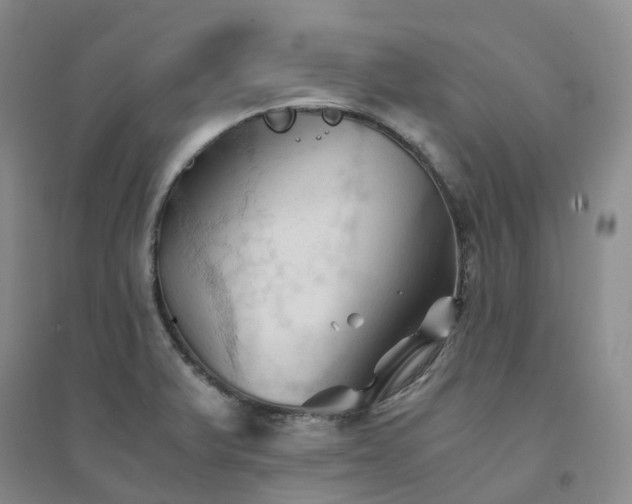 X0000094451375200711151418