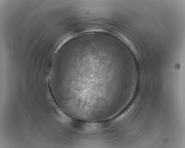 X0000094451377200711151418
