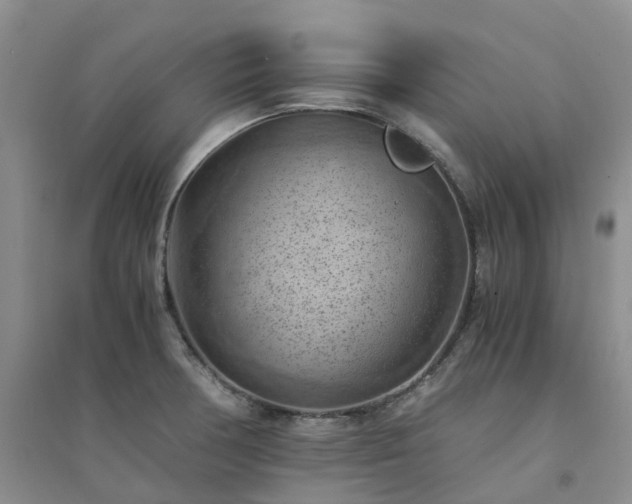 X0000094451378200711151418