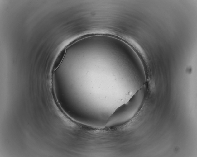 X0000094451380200711151417
