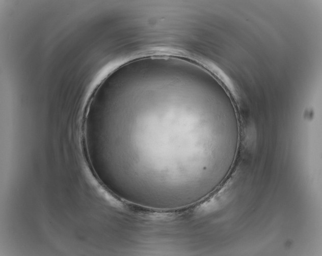 X0000094451381200711151417