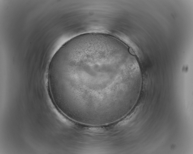 X0000094451383200711151417