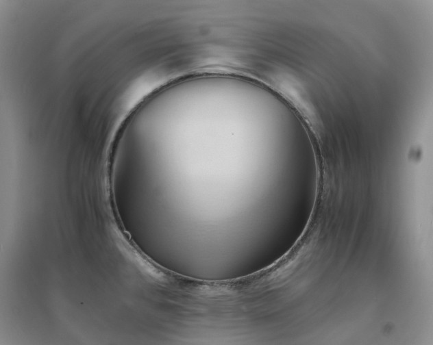 X0000094451384200711151417