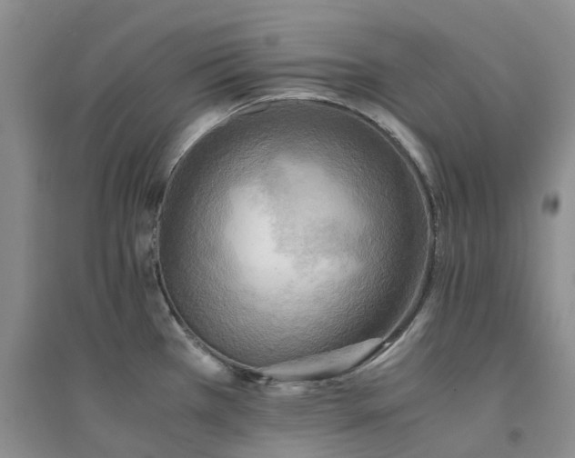 X0000094451385200711151417