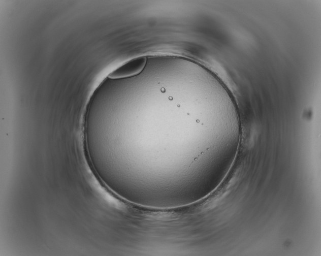 X0000094451387200711151417
