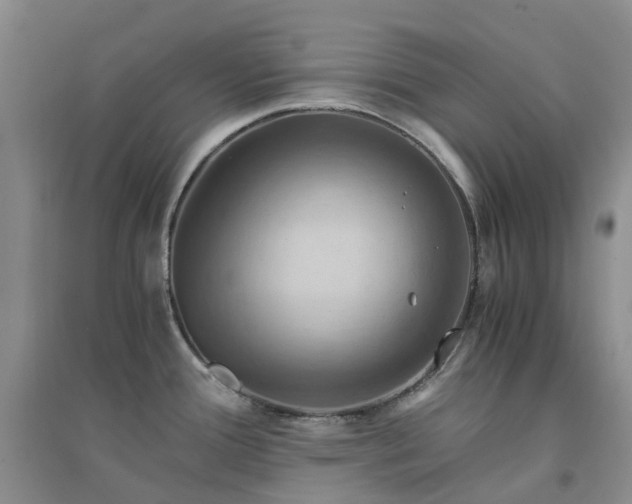 X0000094451388200711151417