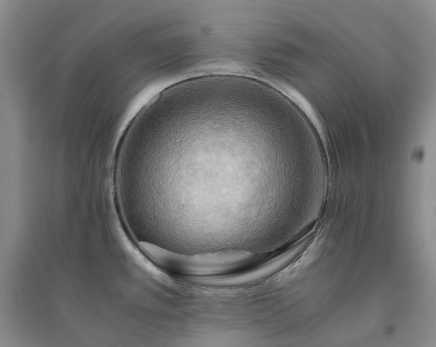 X0000094451389200711151417