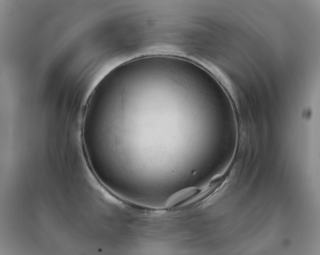 X0000094451390200711151417