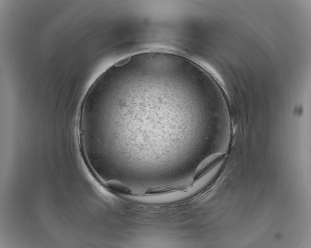 X0000094451391200711151417