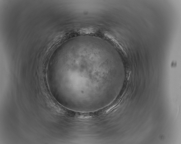 X0000094451393200711151416