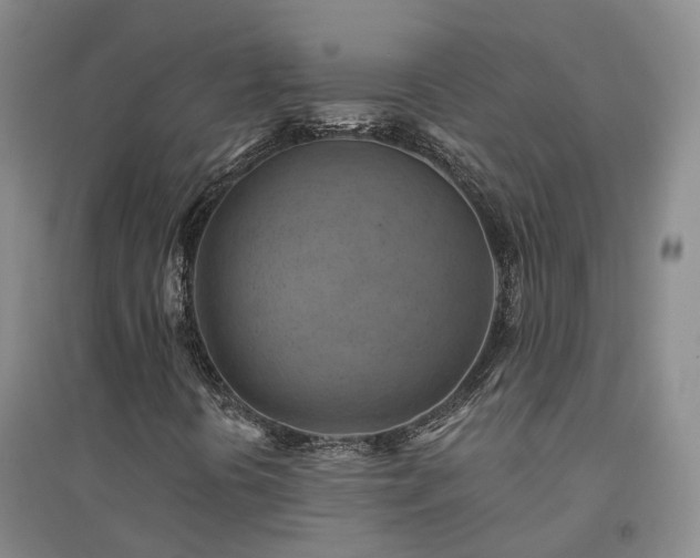 X0000094451394200711151416