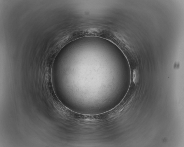 X0000094451395200711151416
