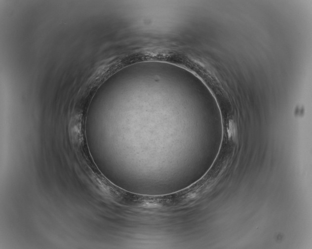 X0000094451396200711151416