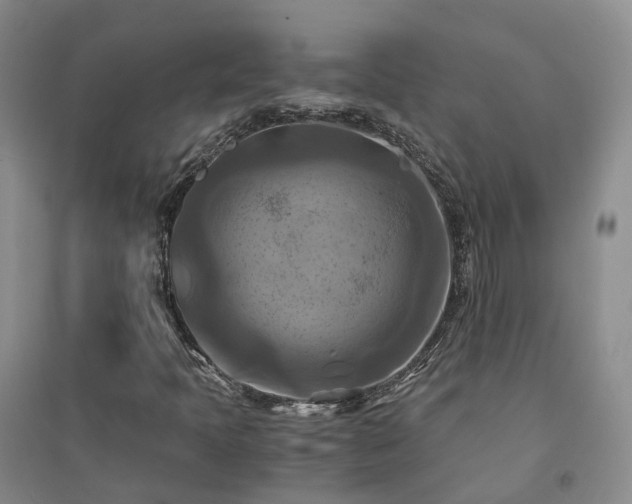 X0000094451397200711151416