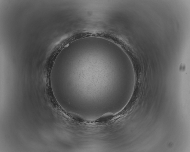 X0000094451398200711151416
