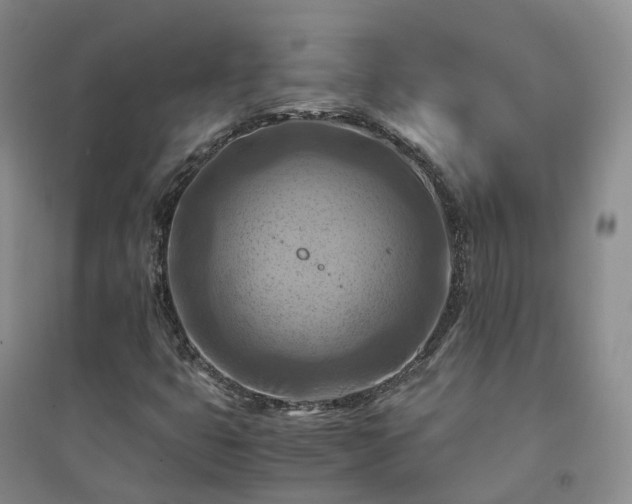 X0000094451399200711151416