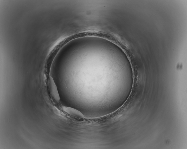 X0000094451400200711151416