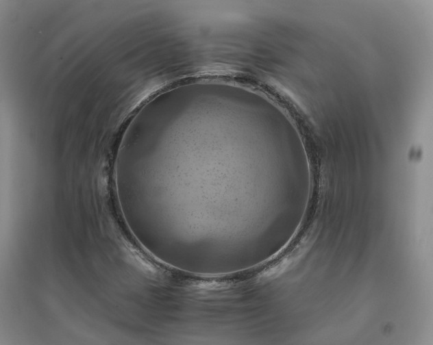 X0000094451401200711151416