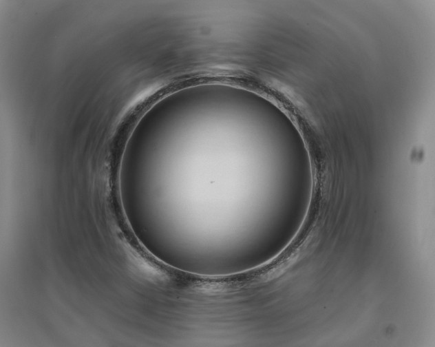 X0000094451402200711151416