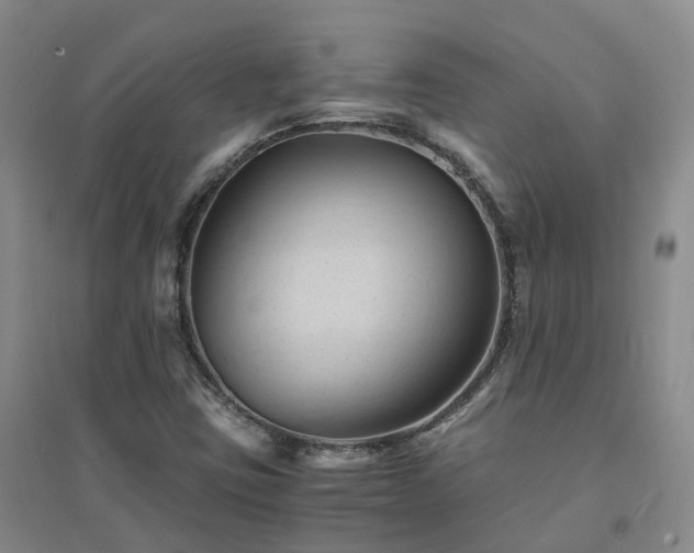 X0000094451403200711151416