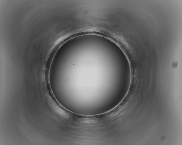 X0000094451404200711151417
