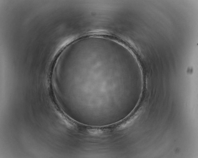 X0000094451405200711151417