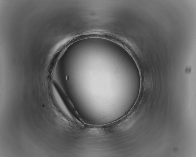 X0000094451406200711151417