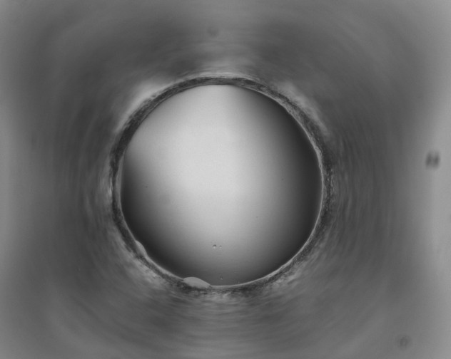 X0000094451408200711151417