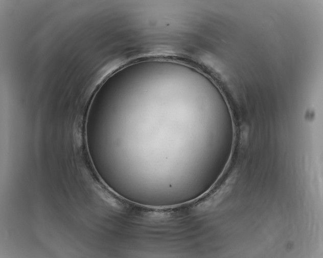 X0000094451409200711151417