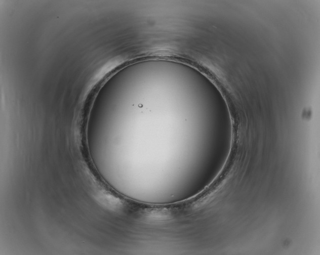 X0000094451410200711151417