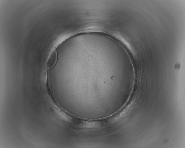 X0000094451413200711151417