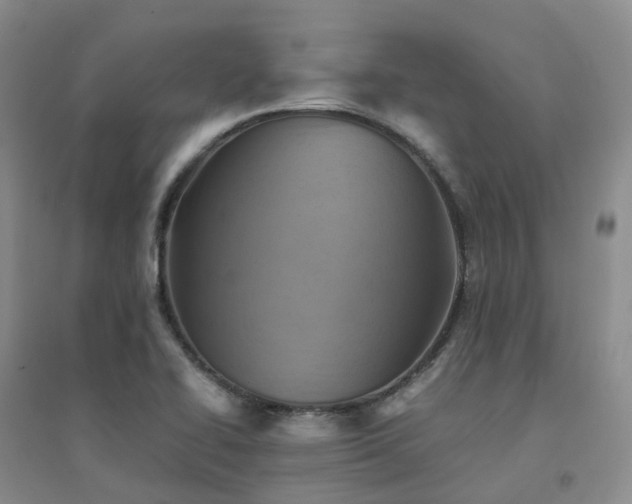X0000094451414200711151417