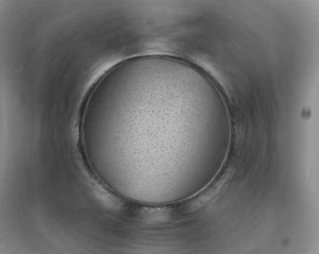 X0000094451415200711151417