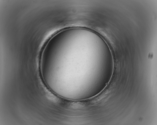 X0000094451416200711151417