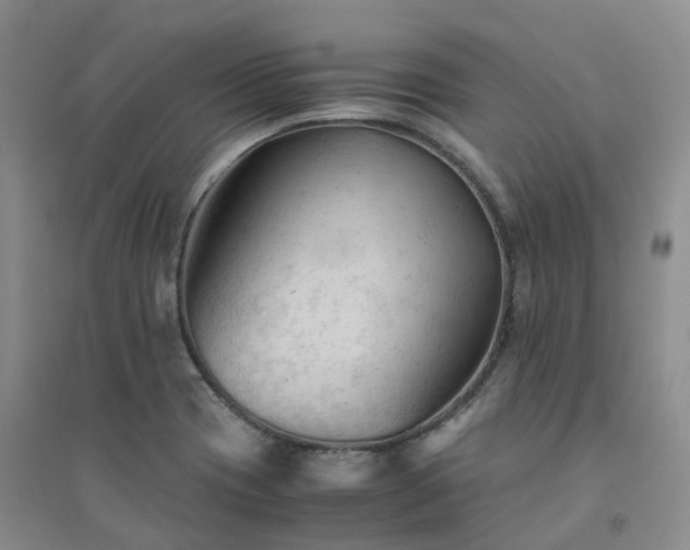 X0000094451417200711151417