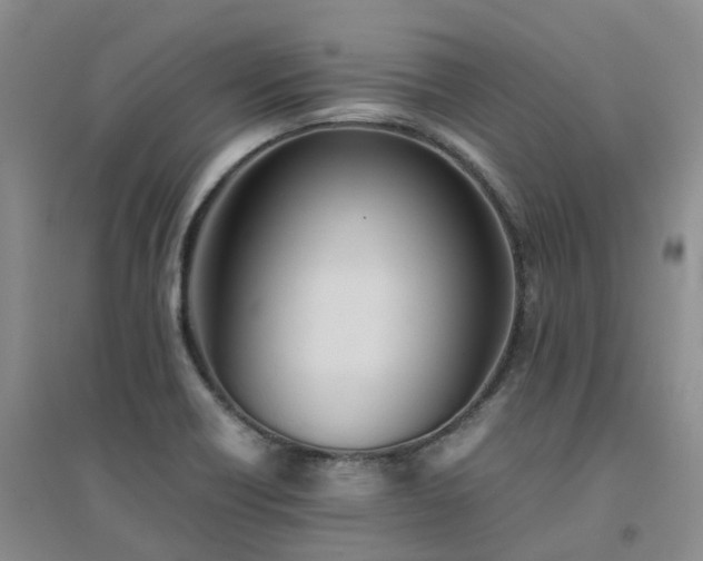 X0000094451418200711151417