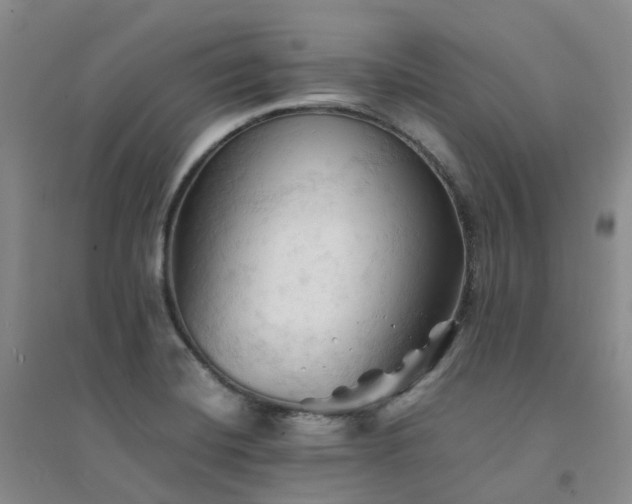 X0000094451420200711151417