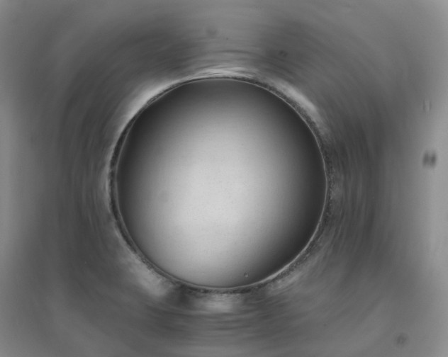 X0000094451423200711151417