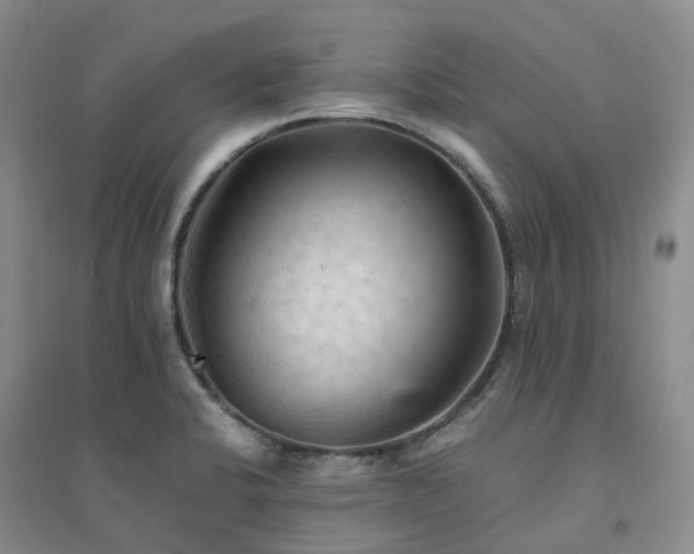 X0000094451424200711151417
