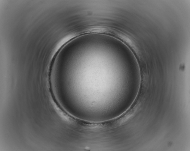 X0000094451426200711151417